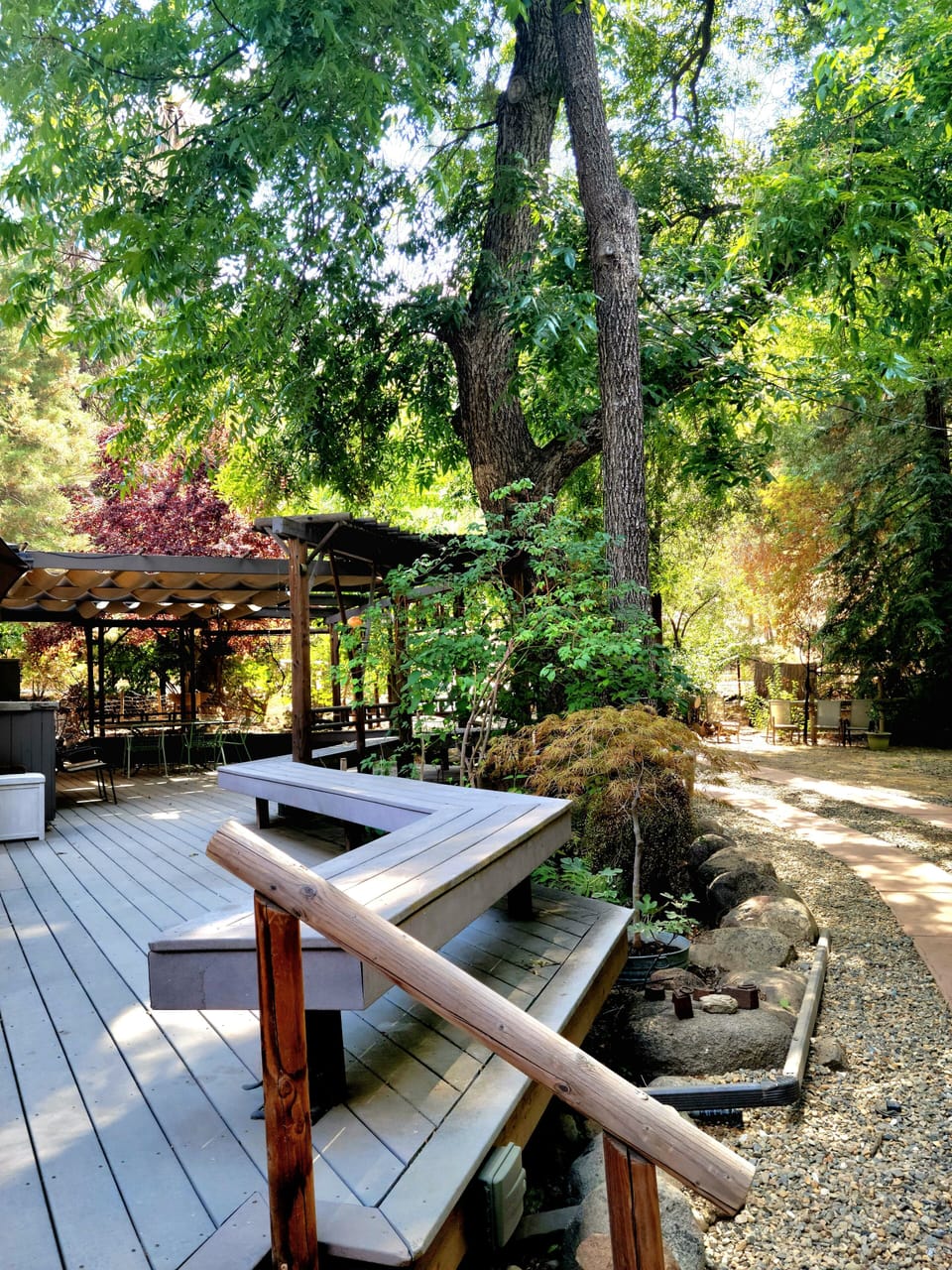 backyard patio deck area.  many beautiful trees frame in the magical house