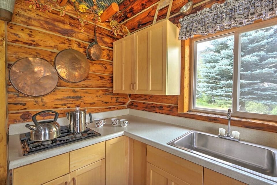Kitchen with stove, sinkand beautiful view