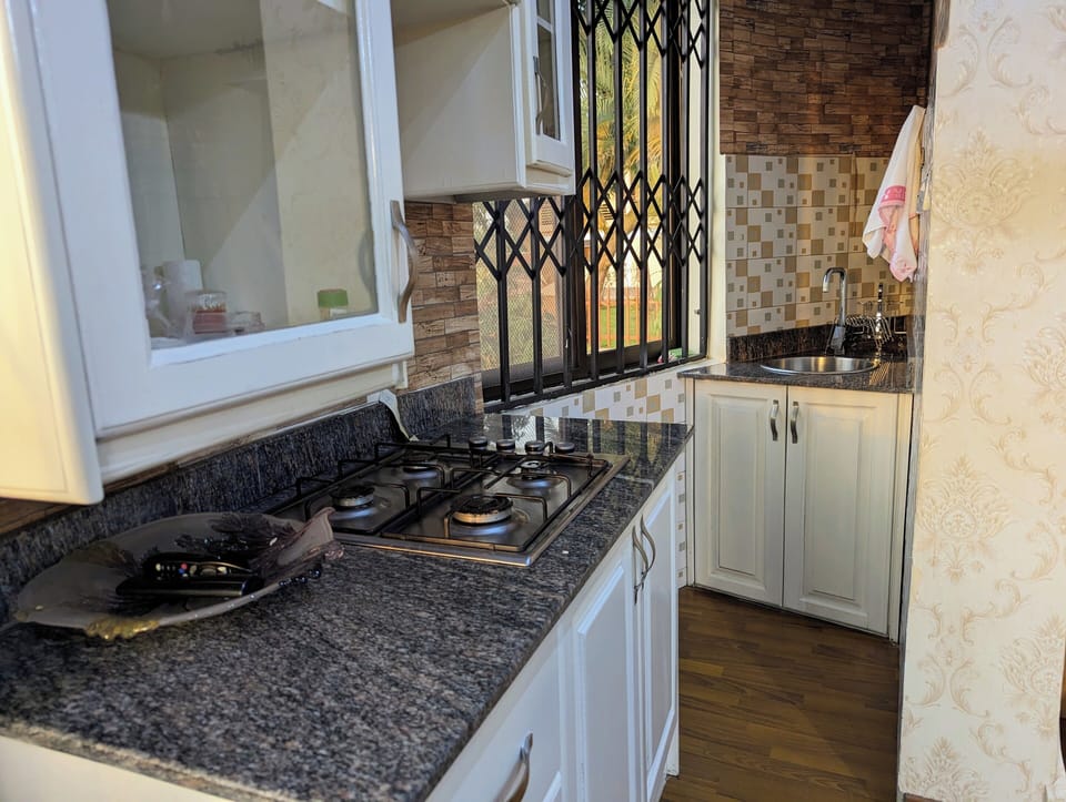 Panoramic Studio Suite, Non Smoking, Lake View | Private kitchen