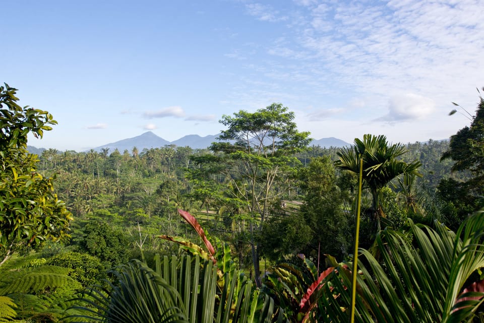 One Bedroom Duplex Pool Villa | View from room