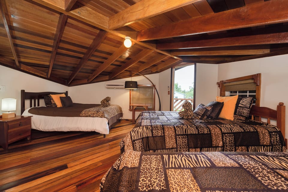 Premium bedding, down comforters, pillowtop beds, minibar