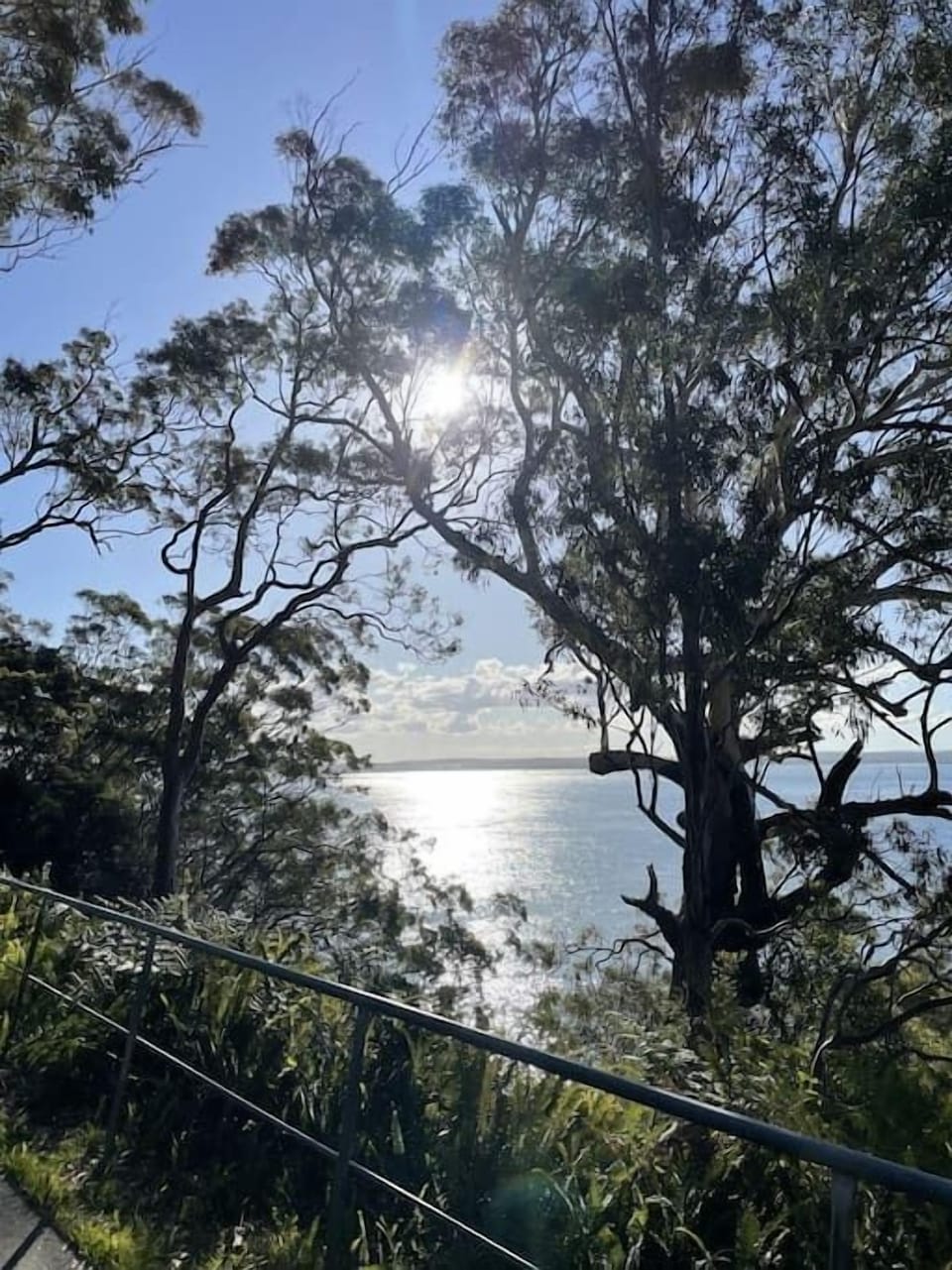 Location shot - Pathway to Nelson Bay 
