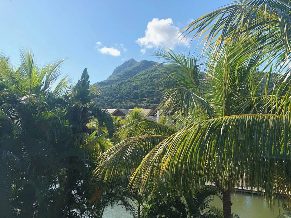 Apartment, 2 Bedrooms, Balcony, Mountain View | Property grounds