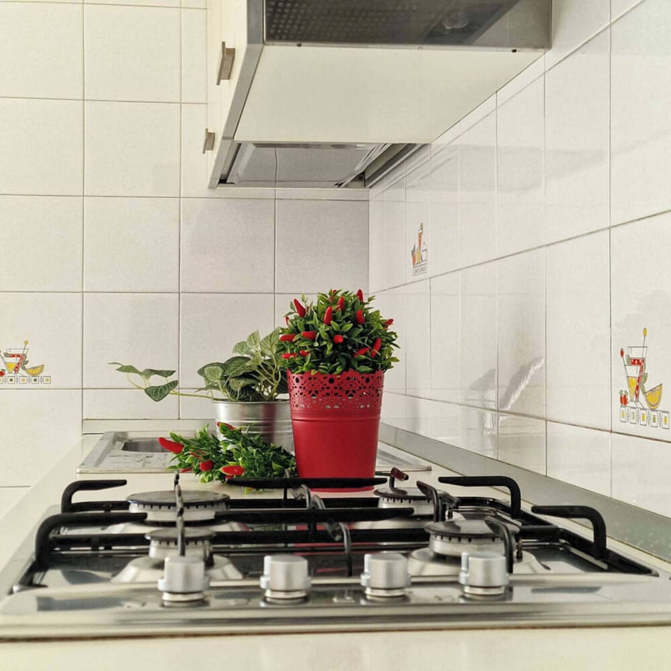 Apartment, 1 Bedroom, Balcony, City View | Private kitchen