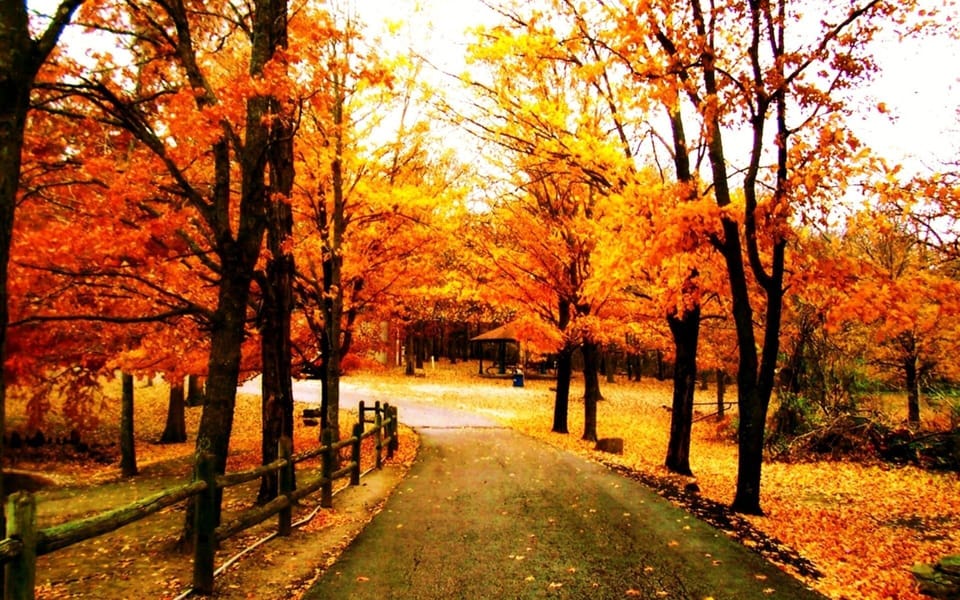 The grounds are stunning all year round.