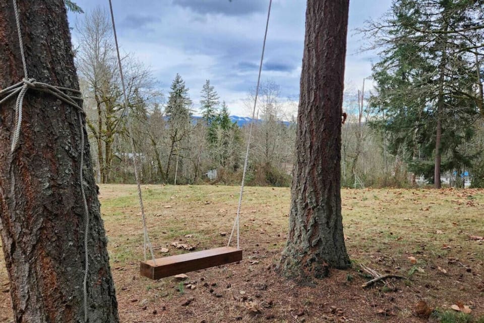 Swing overlooking meadow