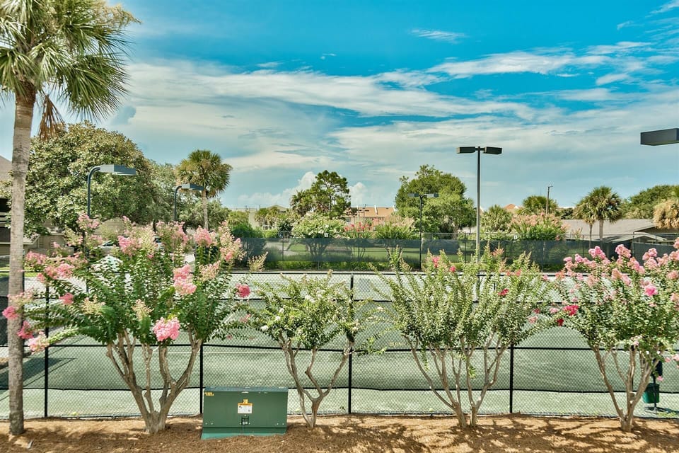 Sport court
