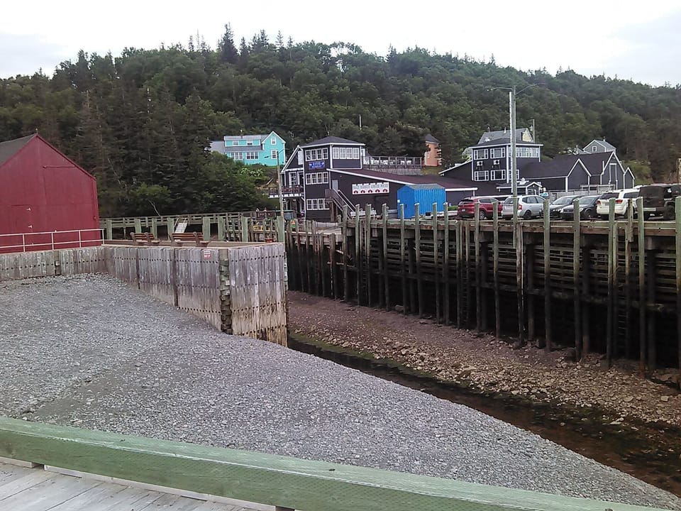View of Lobster Pound from edge of Dolphin's Rest property. Low tide.
