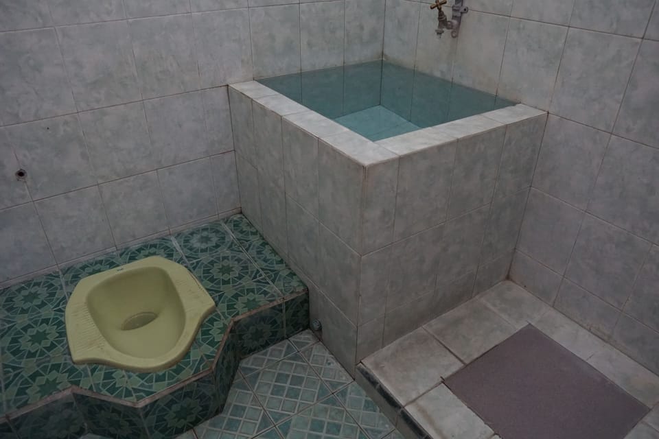 Twin Room | Bathroom | Shower