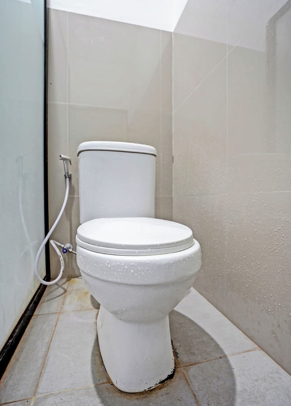 Shower, bidet, towels