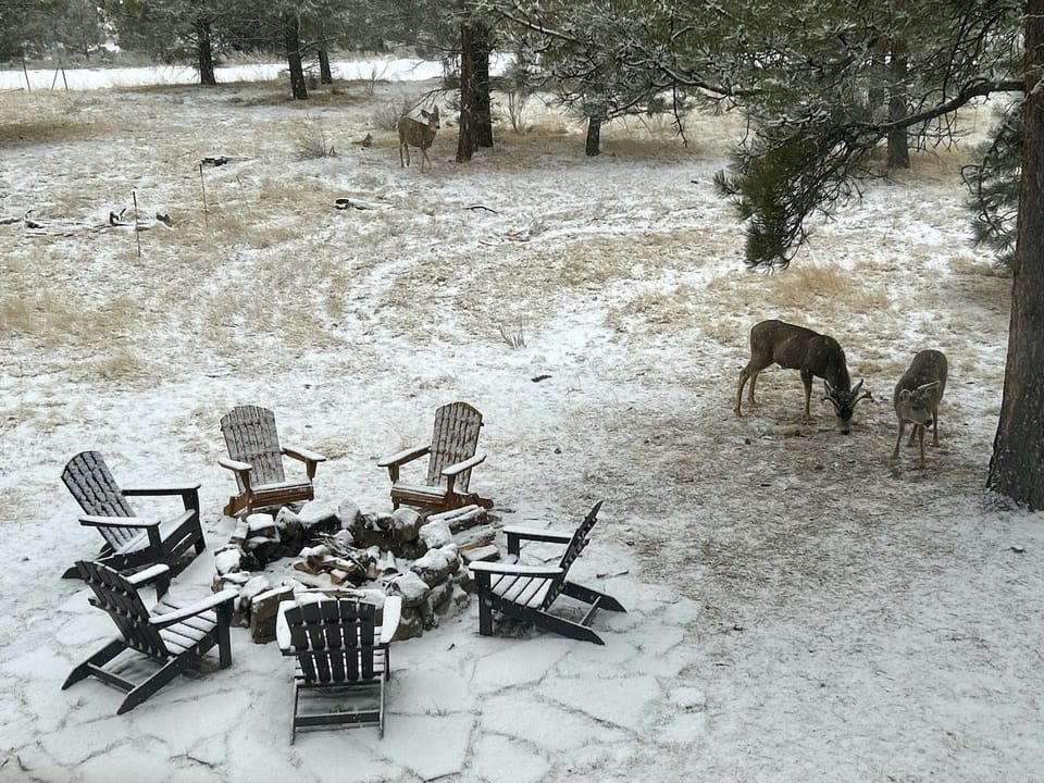 Some of the locals stopping by