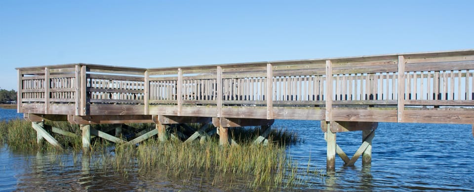Excellent place to experience local wildlife!