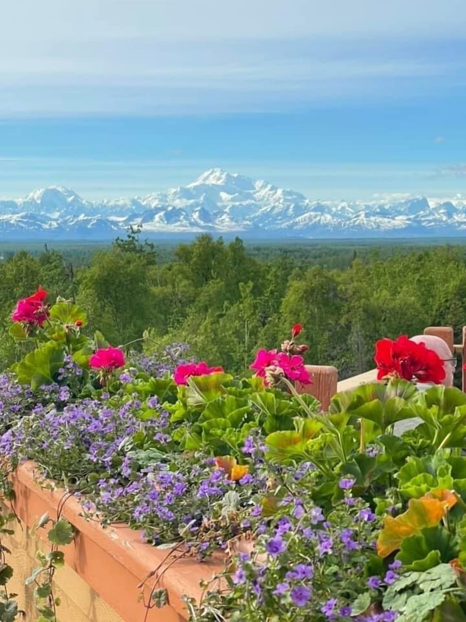 This is a view of Denali Mountain that was taken in downtown Talkeetna