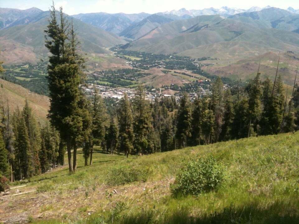 Summer views from Bald Mountain