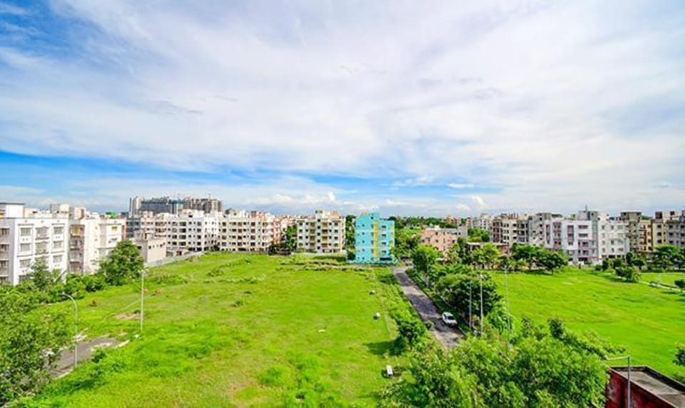 Garden view