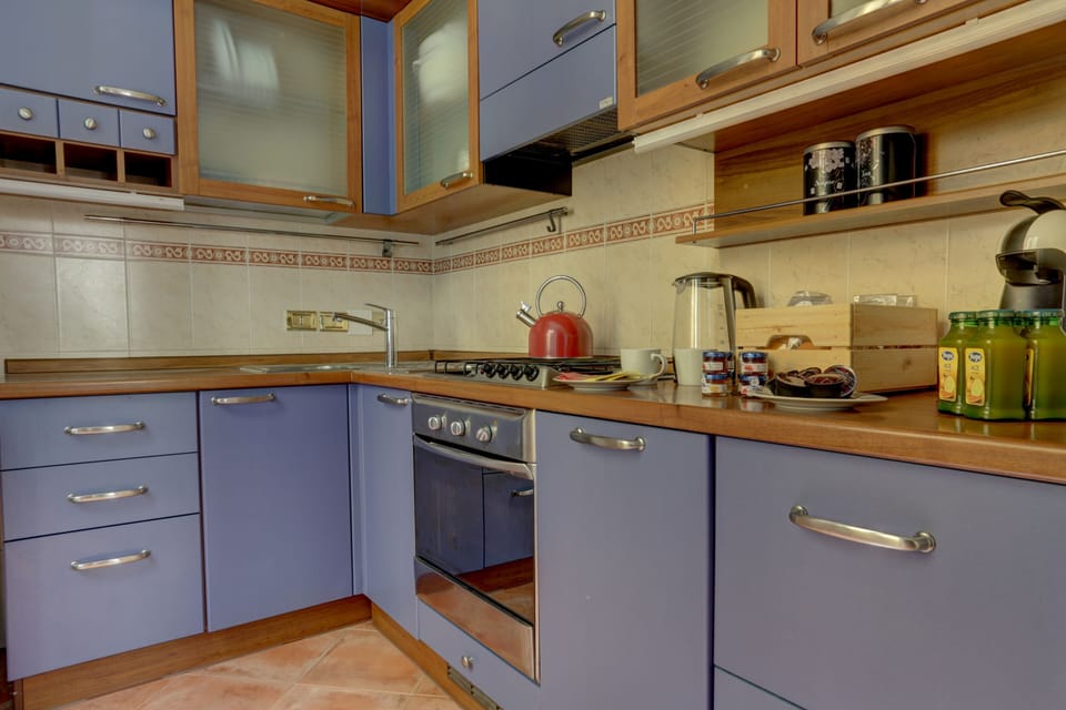 Deluxe Condo | Private kitchen | Full-size fridge, oven, stovetop, dishwasher