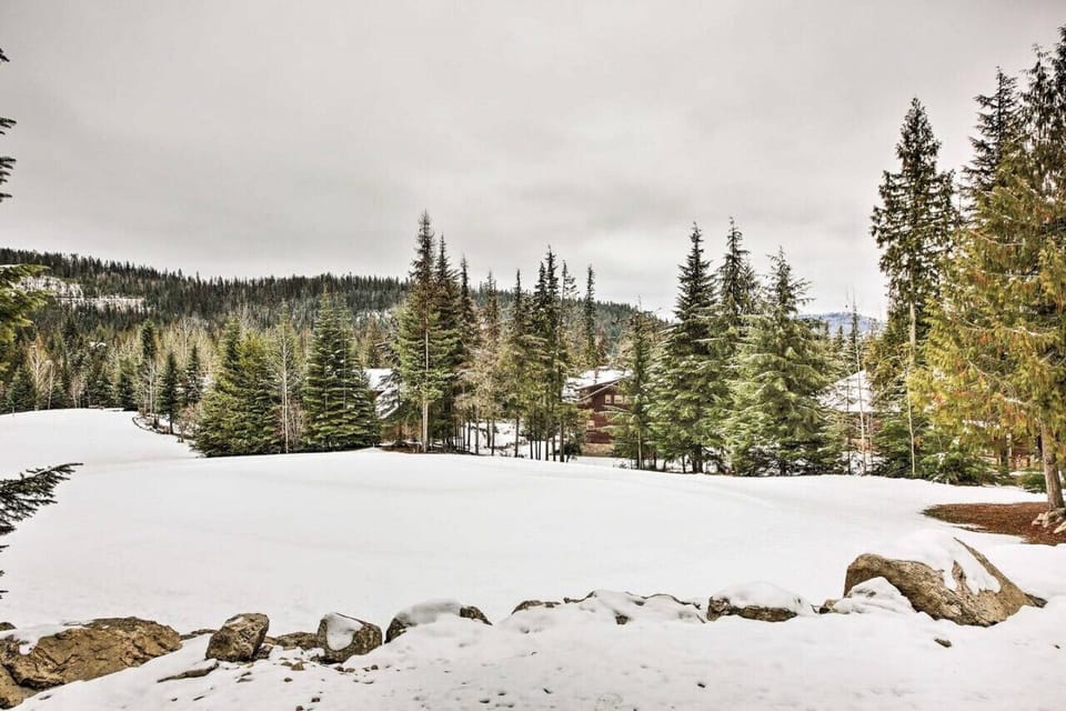 Golf Course winter view from backyard