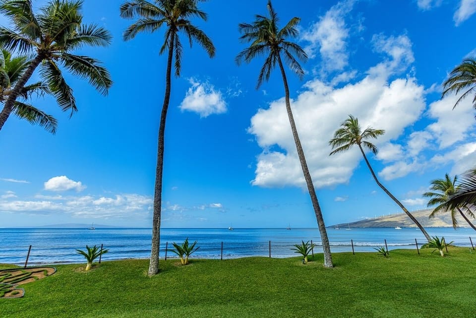 Condo, 1 Bedroom | Miscellaneous