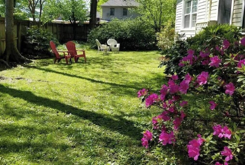 Large Backyard