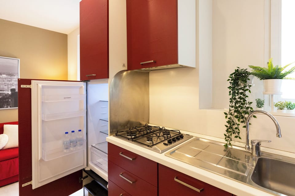 City Apartment, 1 Queen Bed | Private kitchen | Full-size fridge, stovetop, dishwasher, electric kettle