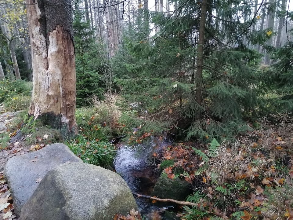 Miscellaneous