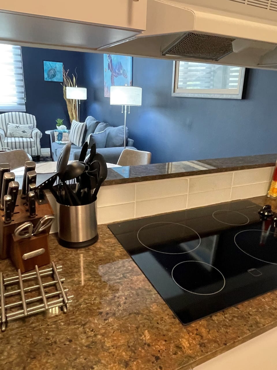 Cooktop & Utensils