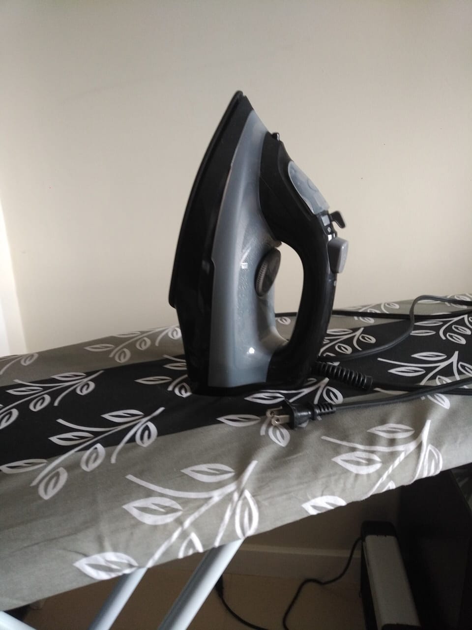 Iron and Ironing Board.