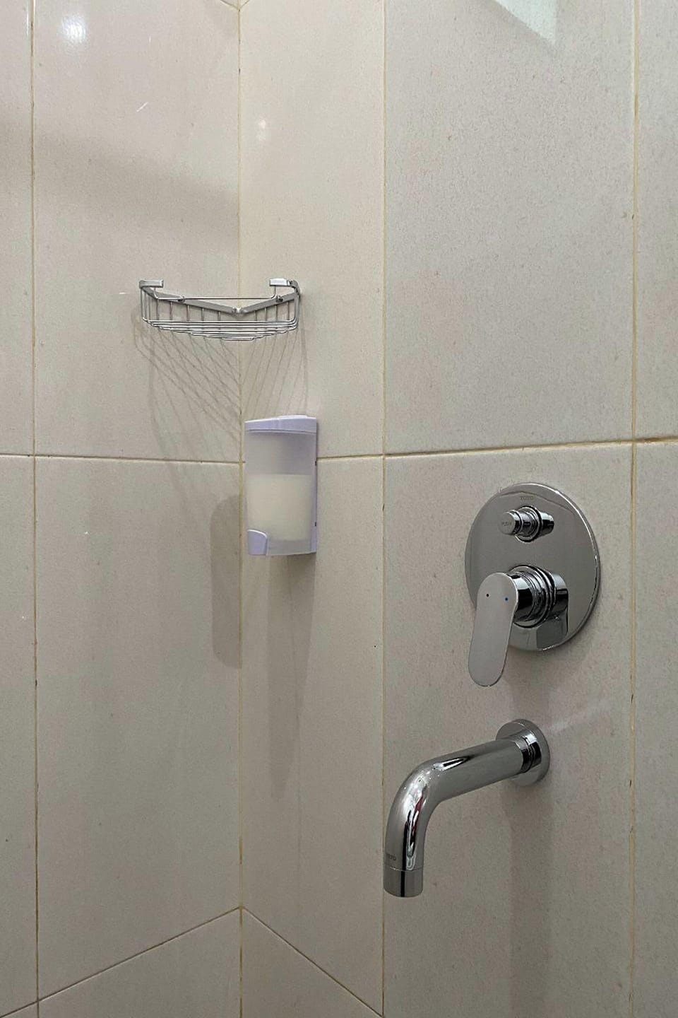 Shower, rainfall showerhead, towels