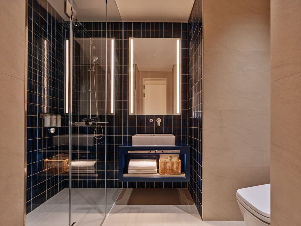 Shower, hair dryer, bathrobes, bidet