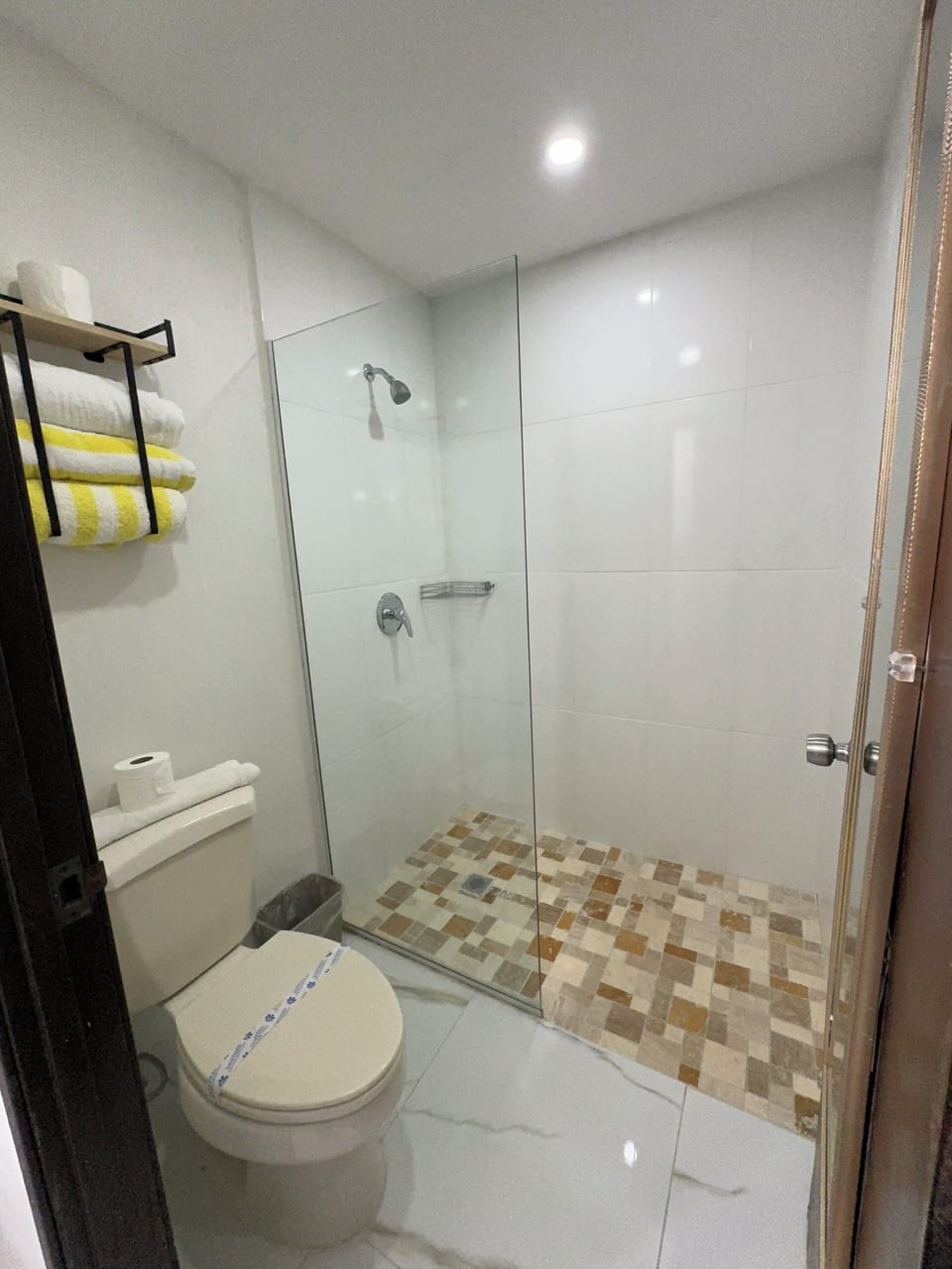 Shower, free toiletries, hair dryer, towels