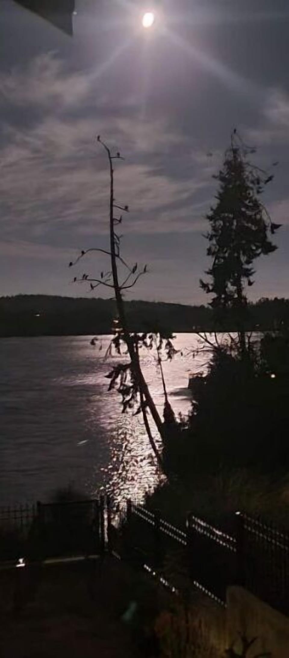 Moon lit magic!