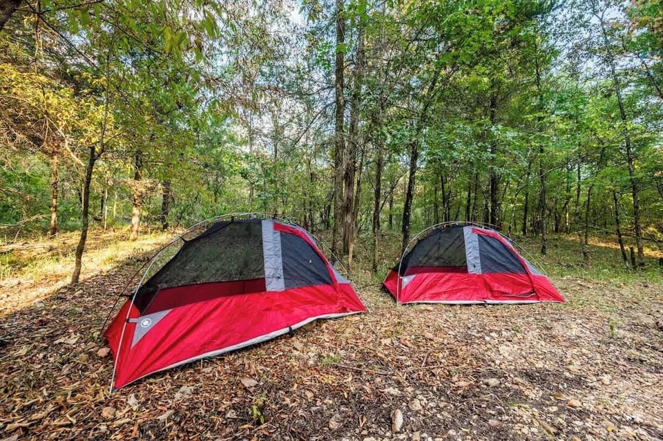Experience the call of the wild in comfort! Our cozy outdoor tent offers a rustic retreat amidst nature's embrace. Fall asleep to the soothing sounds of the wilderness, awaken to stunning views, and reconnect with the great outdoors in style.