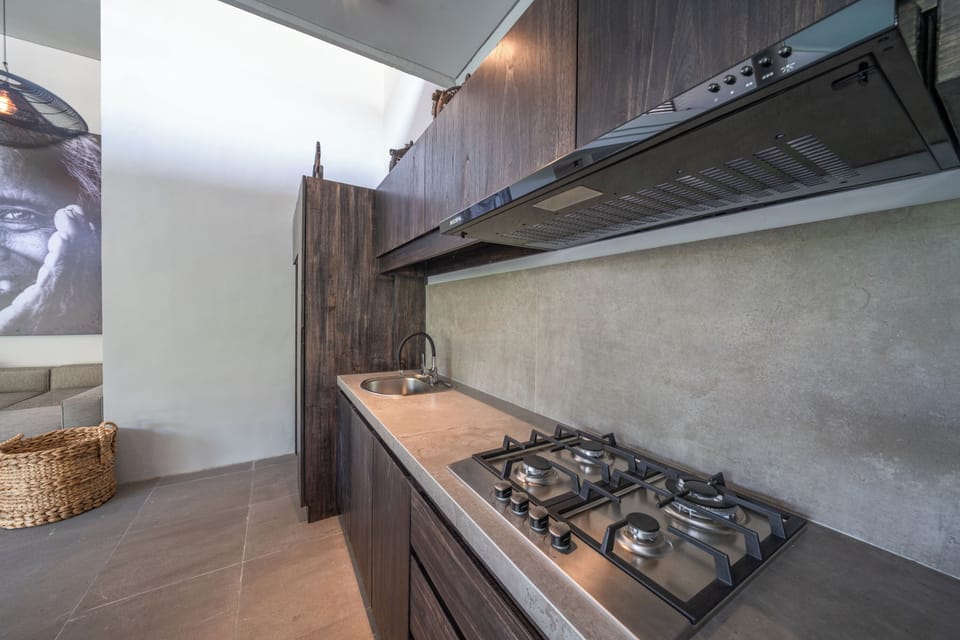 Deluxe Villa | Private kitchen | Fridge, stovetop, cookware/dishes/utensils