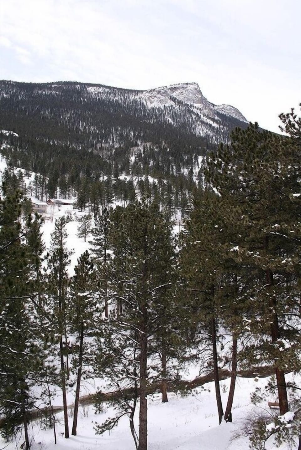 Condo, 3 Bedrooms | Mountain view