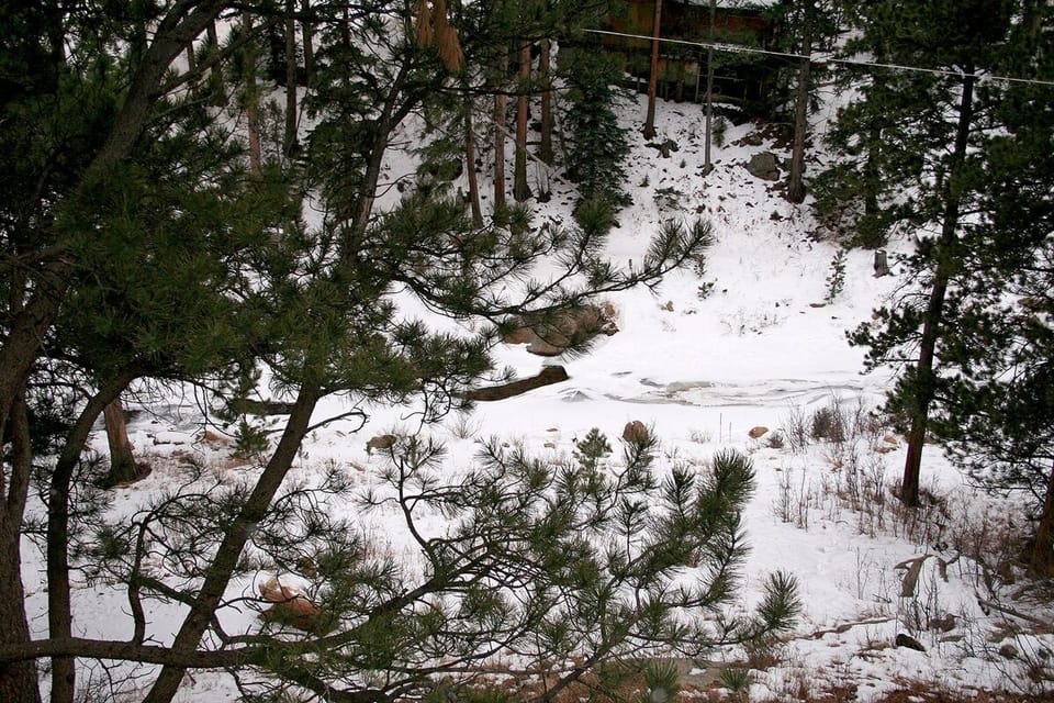 Condo, 1 Bedroom | Miscellaneous