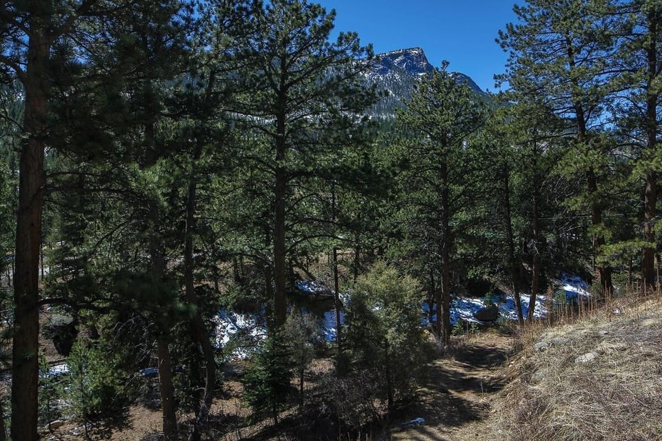 Studio | Property grounds