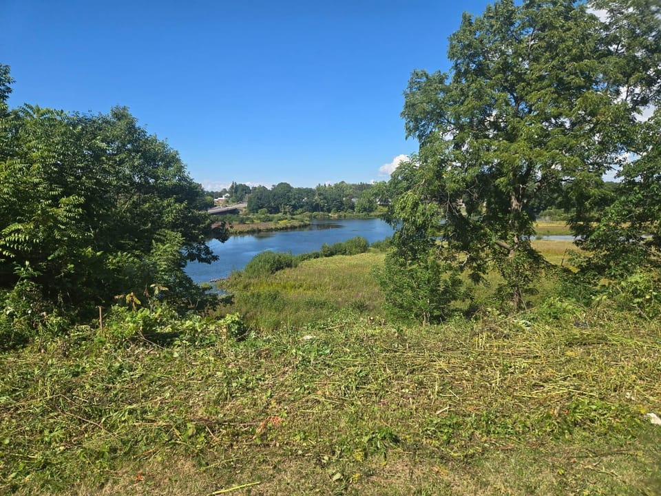 River view from Yard