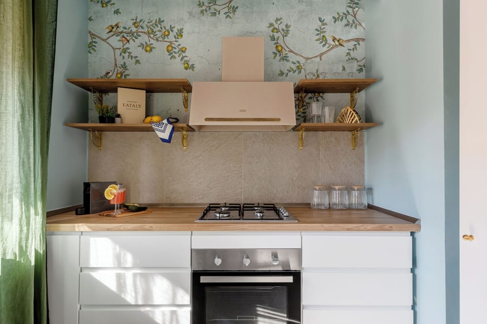 Deluxe Apartment | Private kitchen | Coffee/tea maker, full-size fridge, microwave, oven