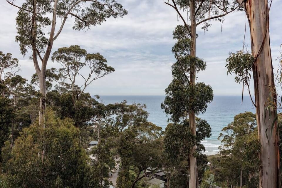 Ocean view