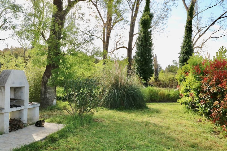 Gites Terra di a Bravona - Appartement Mamo Vue sur Jardin