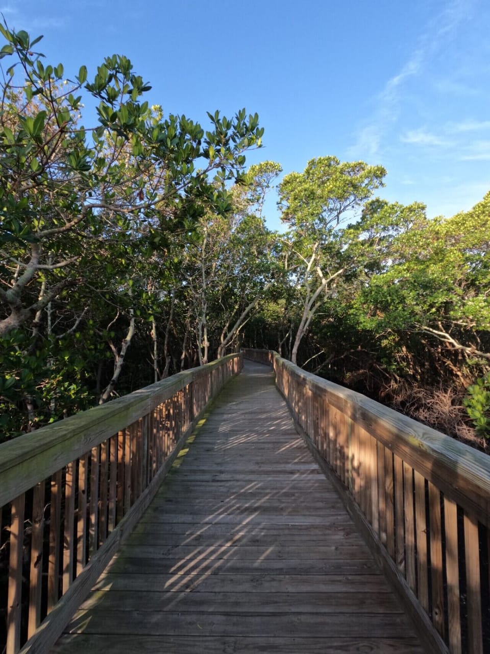 Grassy Point Preserve a nature trail located across the street two blocks away.