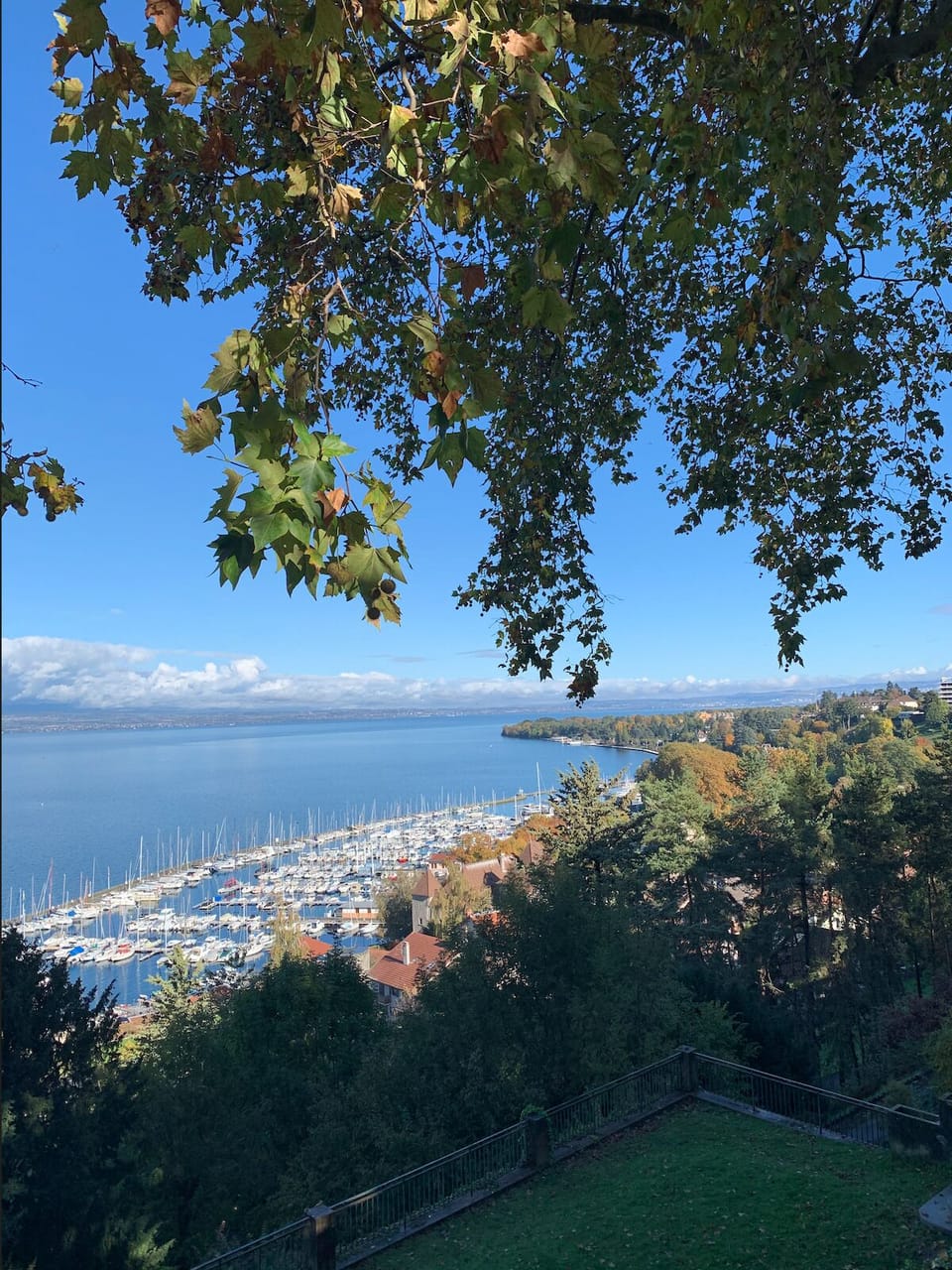 View from property