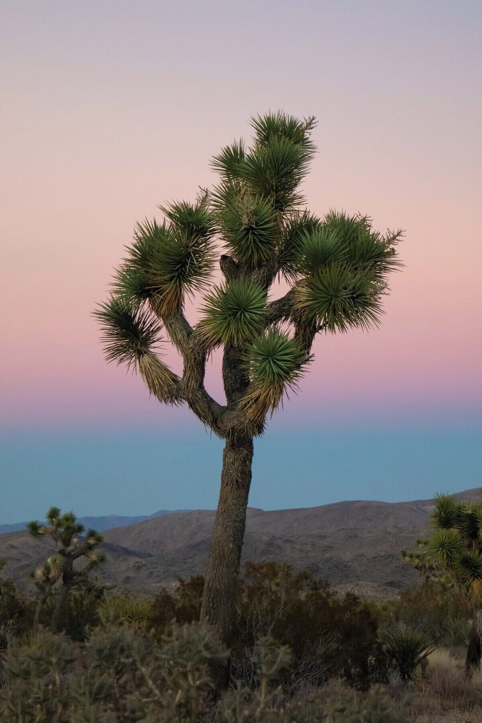 Unreal colors at sunrise and sunset!