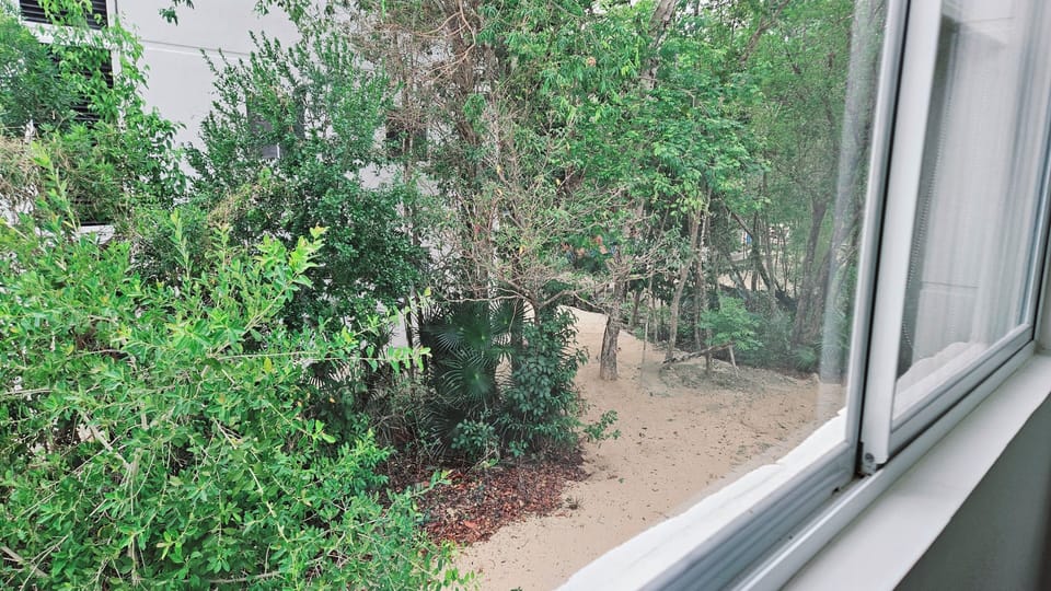 View from windows