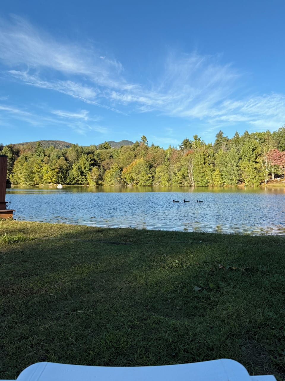 Deer Park Pond- swim and relax
