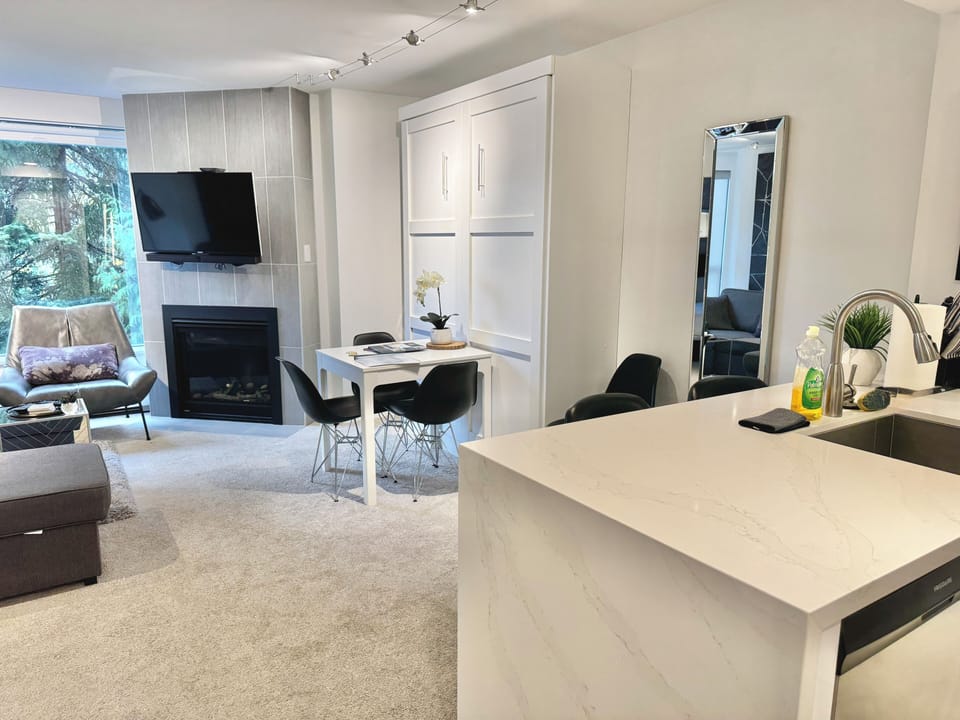 Living room with new pull-out Murphy bed