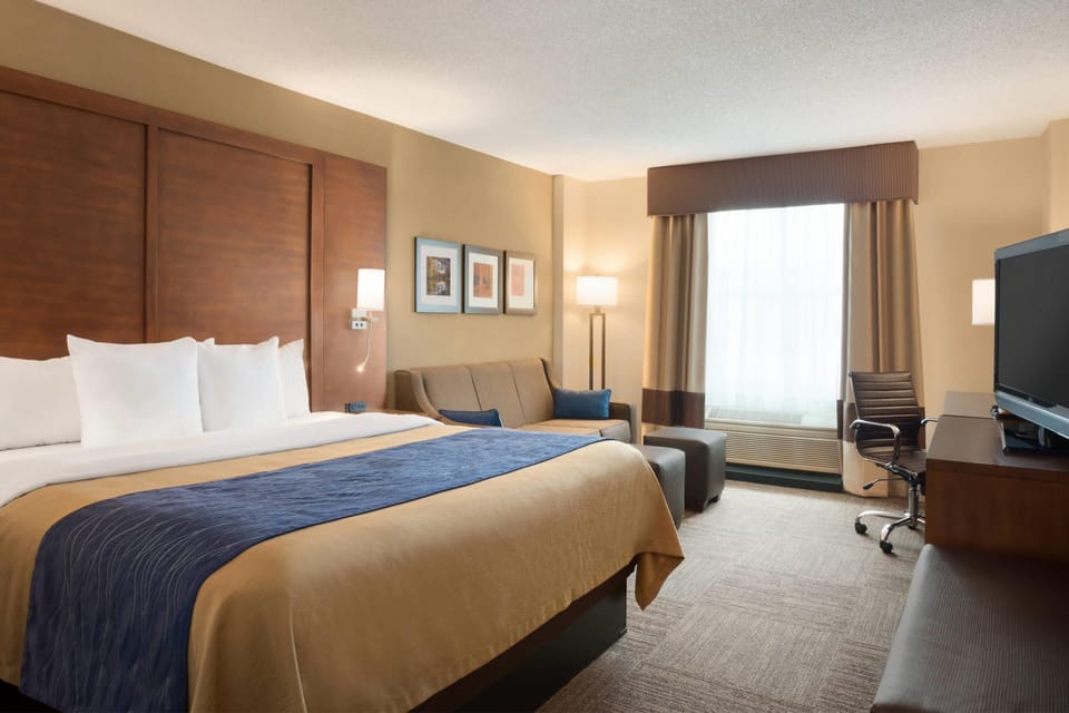 Standard Room, 1 King Bed with Sofa bed, Non Smoking | Premium bedding, down comforters, desk, laptop workspace
