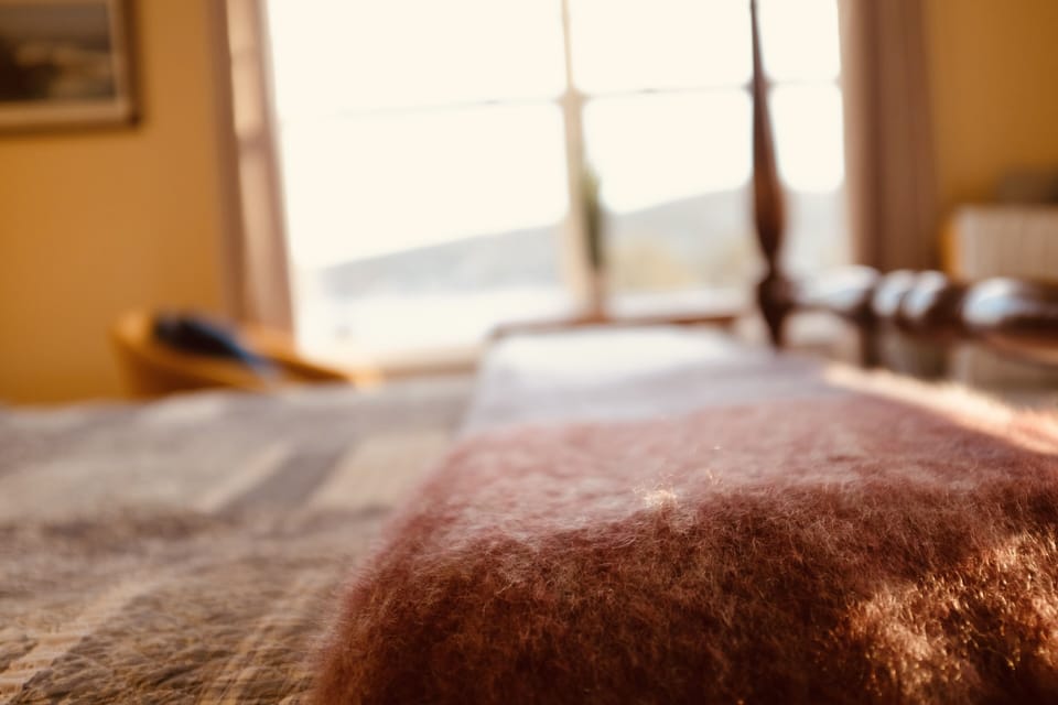 Superior Room | Free WiFi