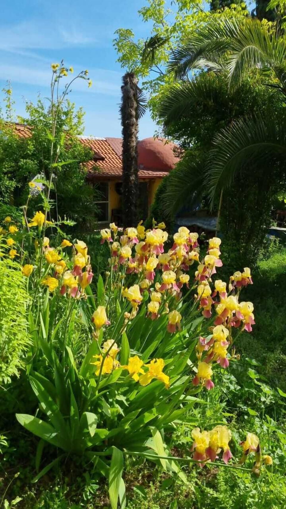 Villa | Property grounds