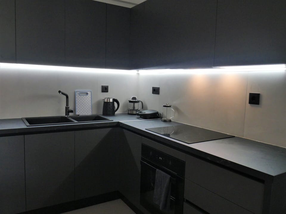Comfort Apartment, Balcony, City View | Private kitchen | Full-size fridge, oven, stovetop, dishwasher